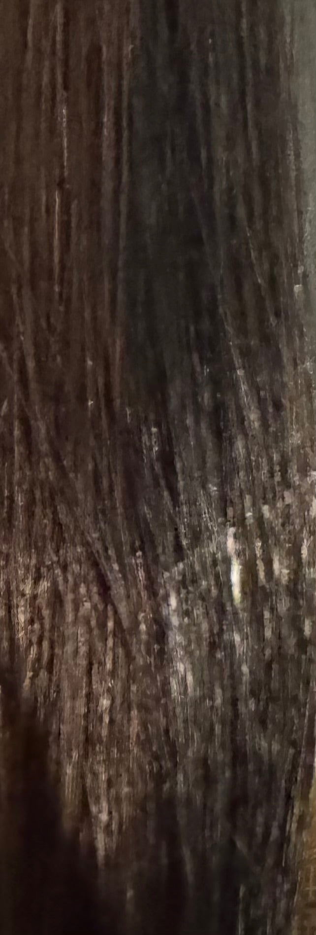 Brazilian ITip Hair Extensions