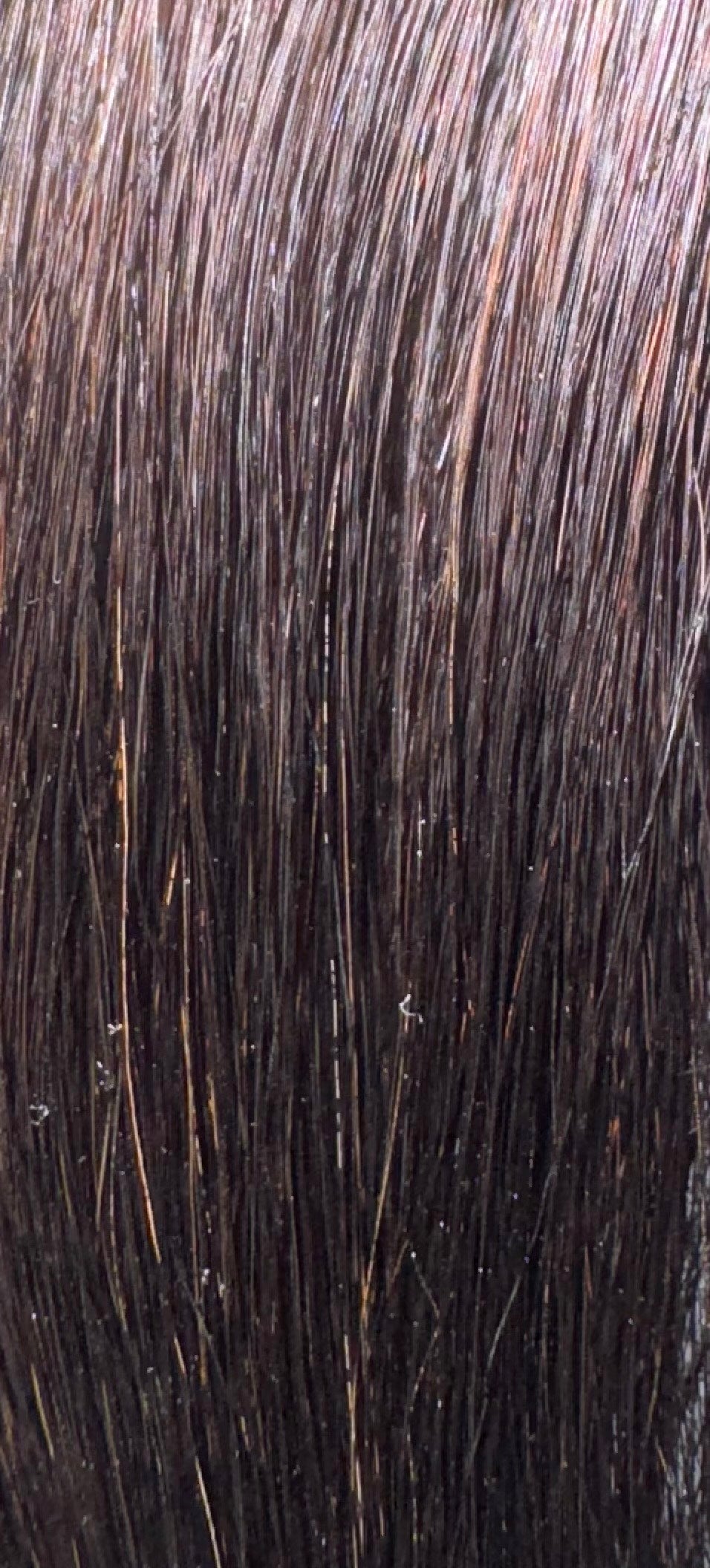 Brazilian ITip Hair Extensions