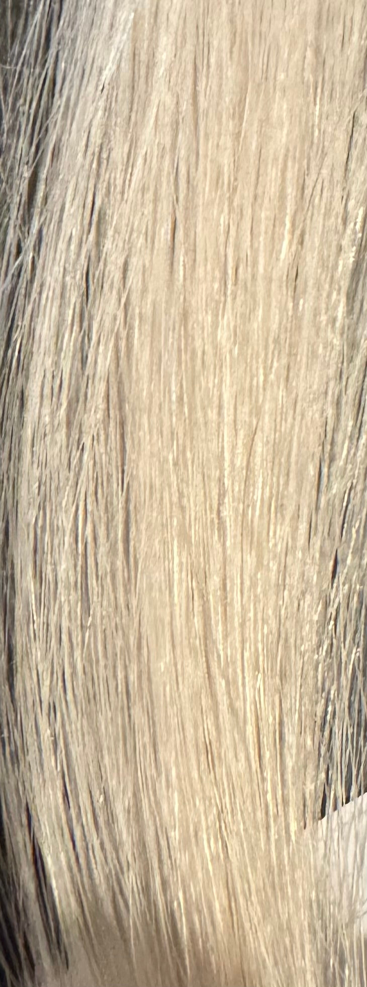 Brazilian ITip Hair Extensions